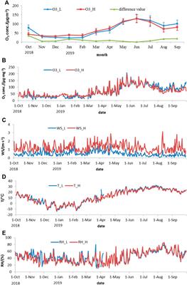Ozone concentration at various heights near the surface layer in Shenyang, Northeast China